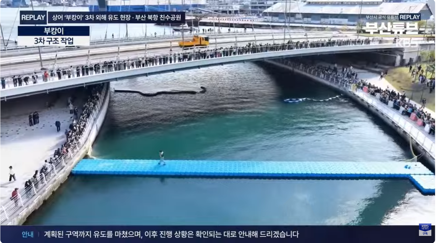 부캉이 떠난듯 2시간 째 안 보여... · 2번째 이미지