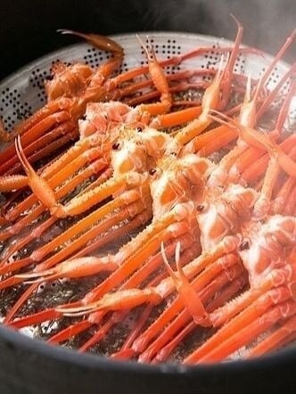 스팀 찜 해놓은 게임