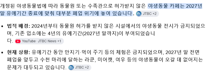2027년까지 대부분의 동물카페는 폐업 예정 · 2번째 이미지