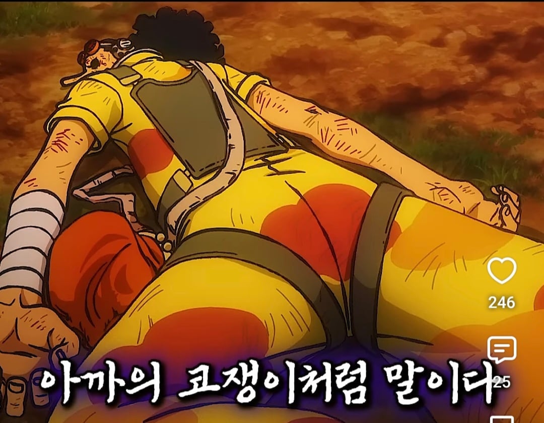 루피 본인피셜 우솝 안버리는 이유 · 3번째 이미지