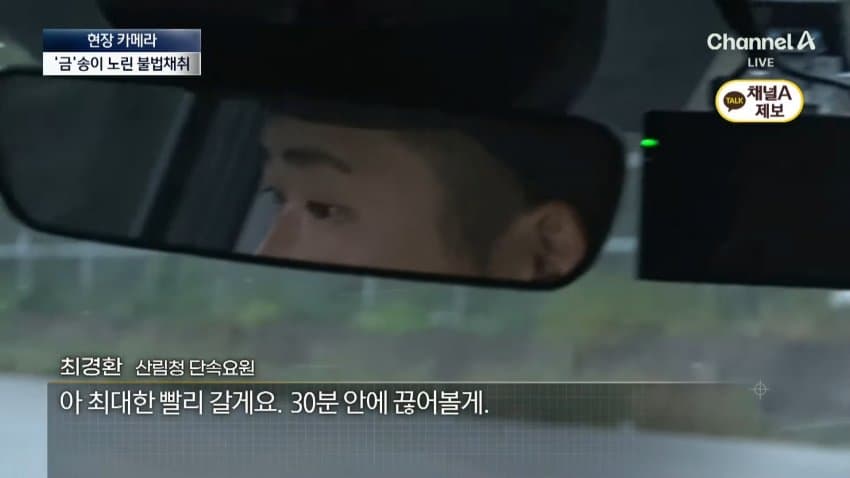 채널a) 송이버섯 1kg에 160만원...밤낮 추격전 · 26번째 이미지
