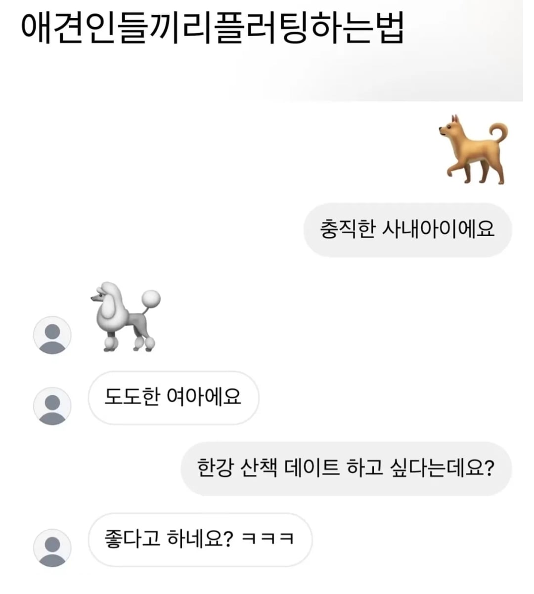 애견인들끼리 플러팅하는법 · 1번째 이미지