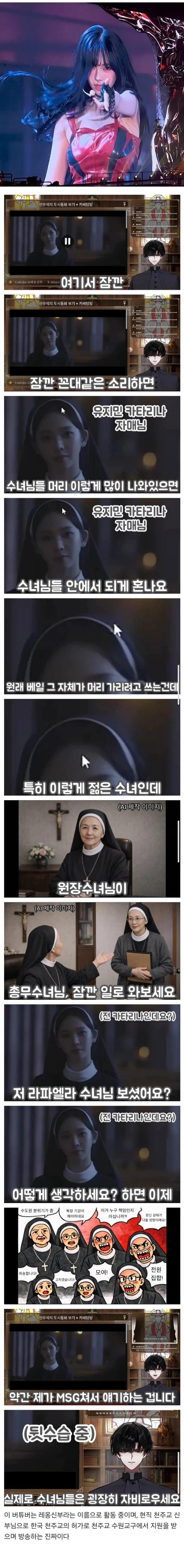 카리나 복장 지적하는 버튜버 수준 · 1번째 이미지