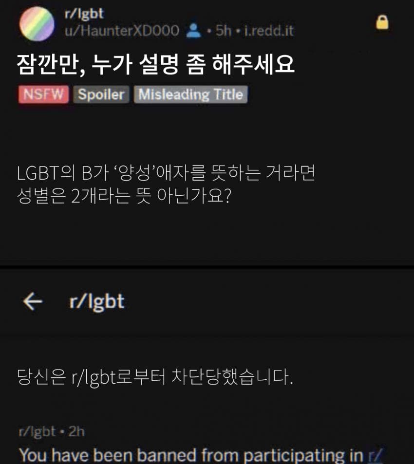 싱글벙글 해외 밈 번역 모음 · 6번째 이미지