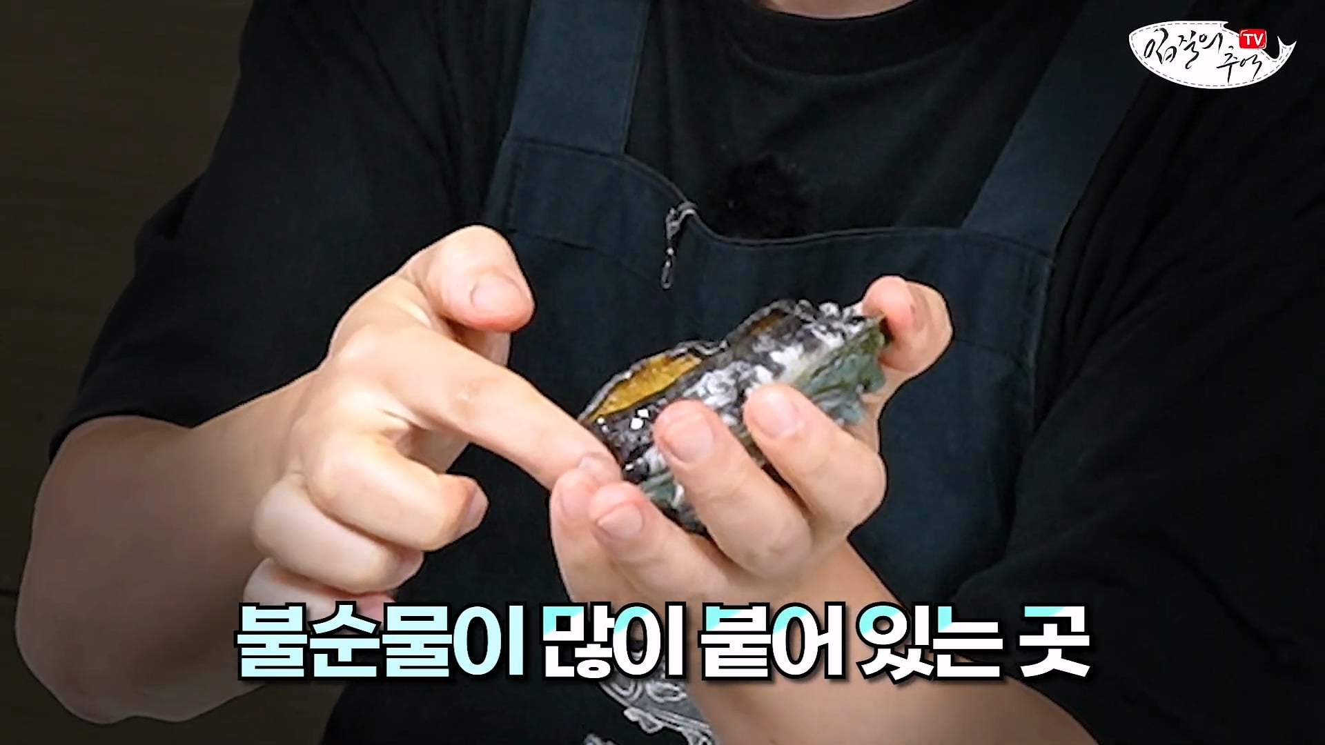 암컷 아저씨가 알려주는 손 쉬운 전복 손질 방법 · 11번째 이미지