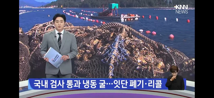 굴 근황 · 1번째 이미지