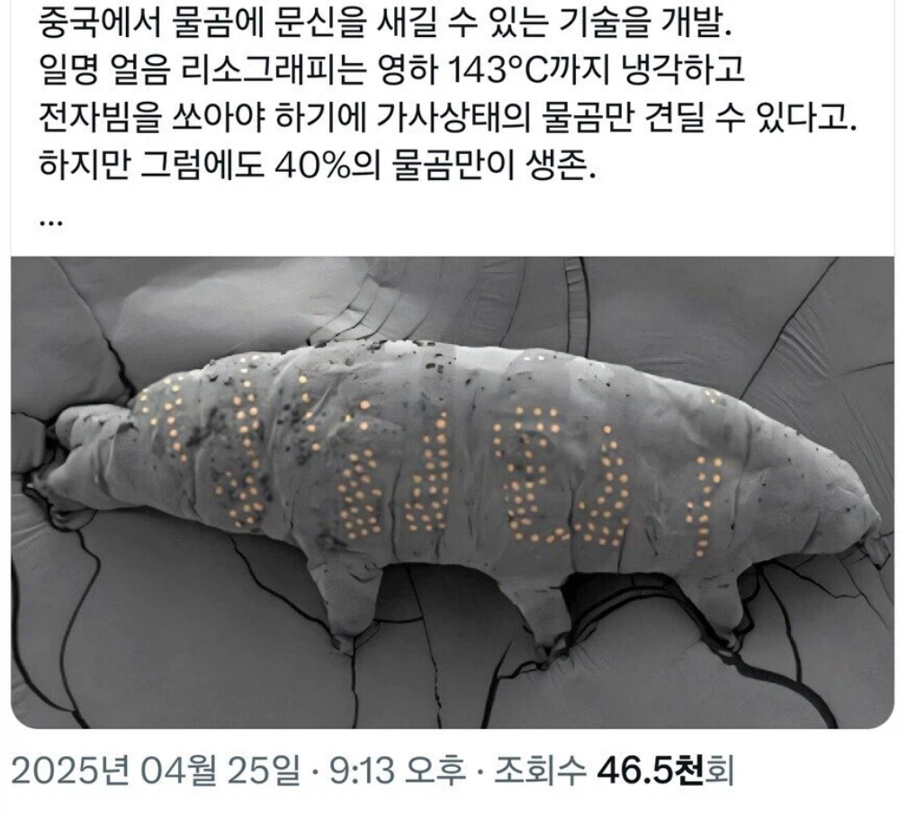 중국, "물곰 몸에 문신하는 기술 개발"