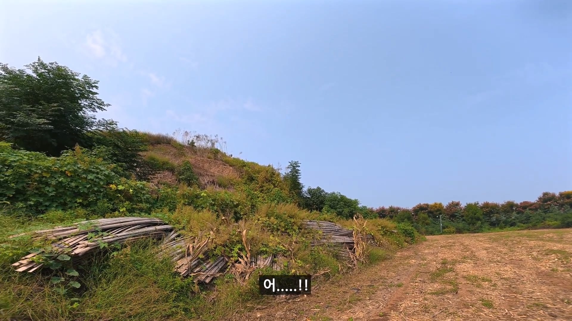 유튜버가 촬영 다하고 올때까지 기다리겠다는 택시기사 ㅋㅋㅋ · 18번째 이미지