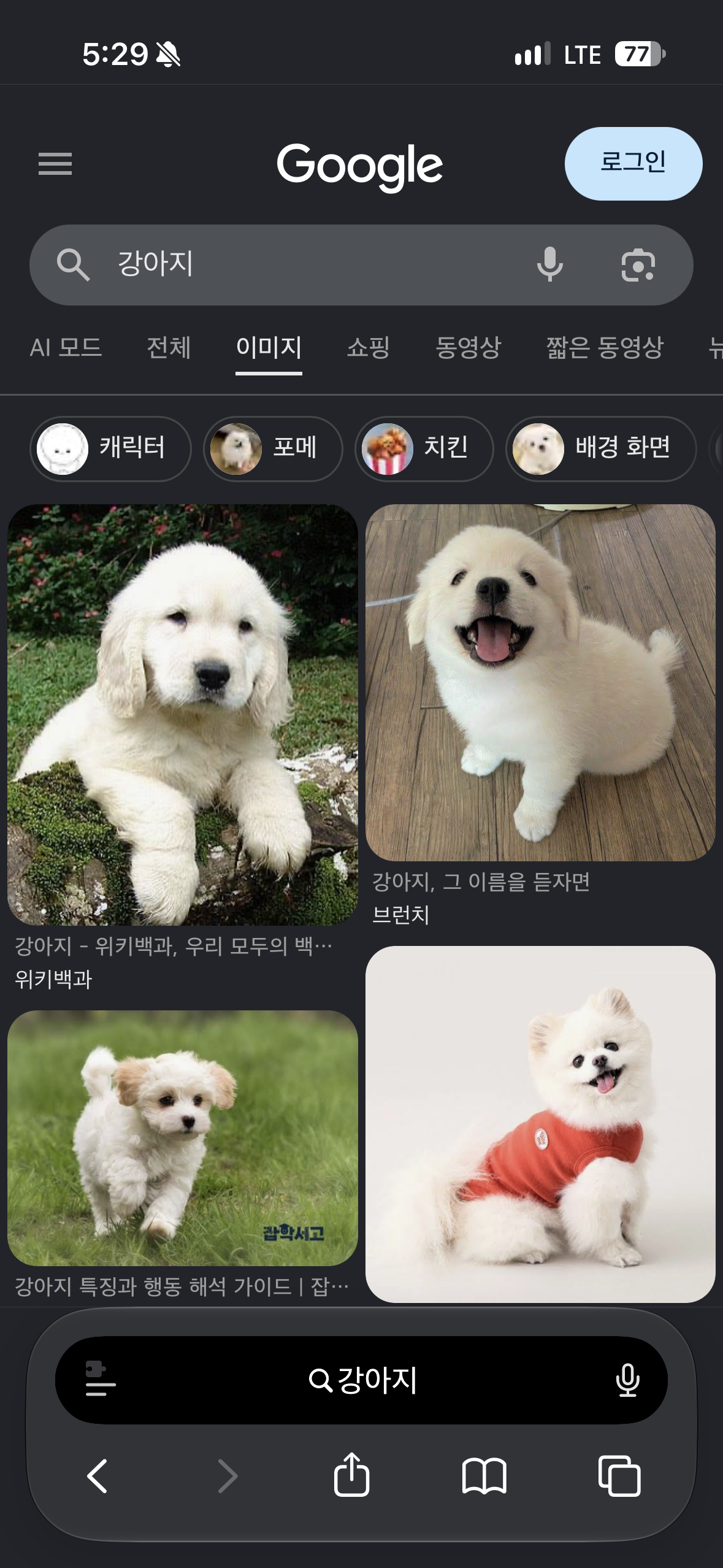 혹시 개붕이들이 좋아하는걸 합치면 에 갈까? · 2번째 이미지