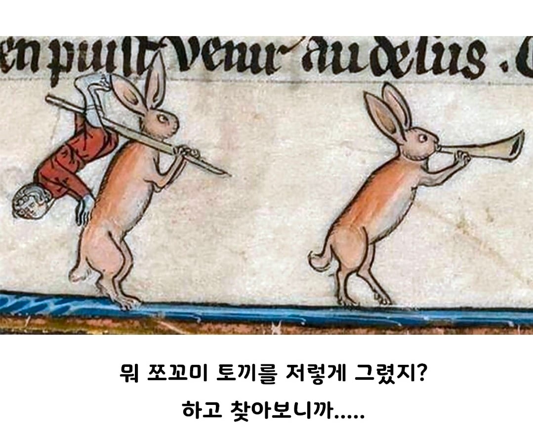 중세 서양 토끼 그림들이 살벌하게 생긴이유 · 2번째 이미지