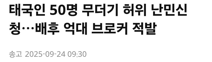 가짜 난민 브로커 적발 증가 · 9번째 이미지