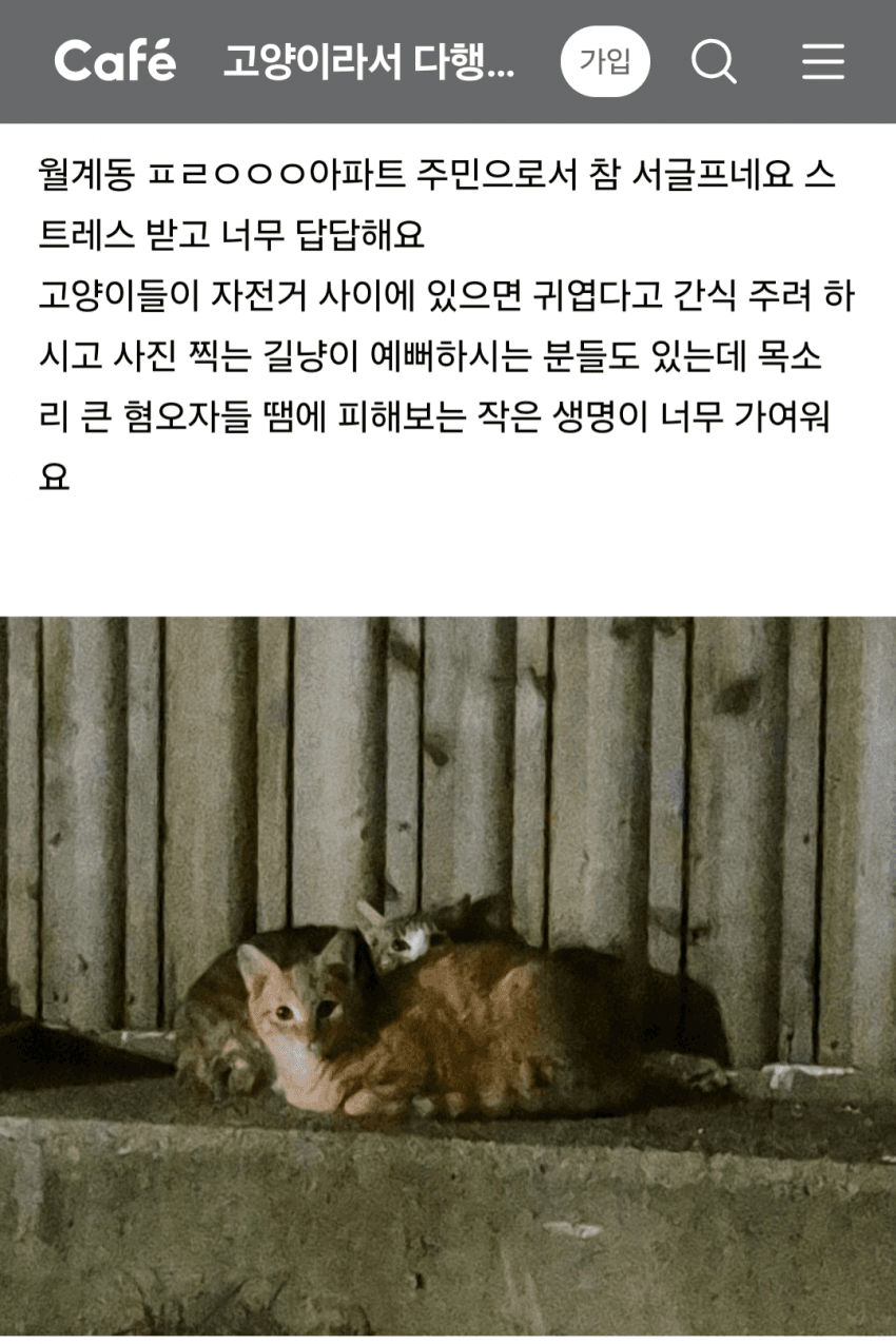 아파트에서 싸운 캣맘 · 4번째 이미지