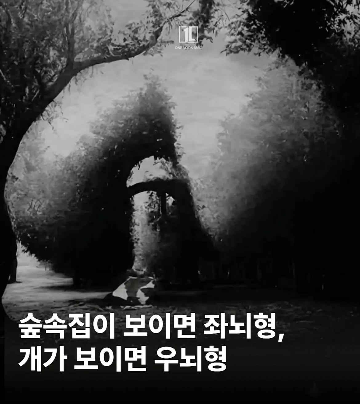 ㅇㅎ?)착시현상.jpg · 1번째 이미지
