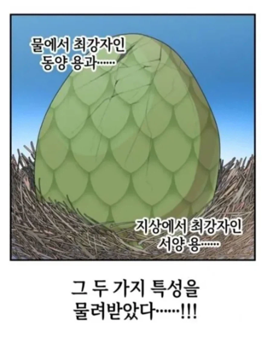 동양 용 vs 서양 용 · 9번째 이미지
