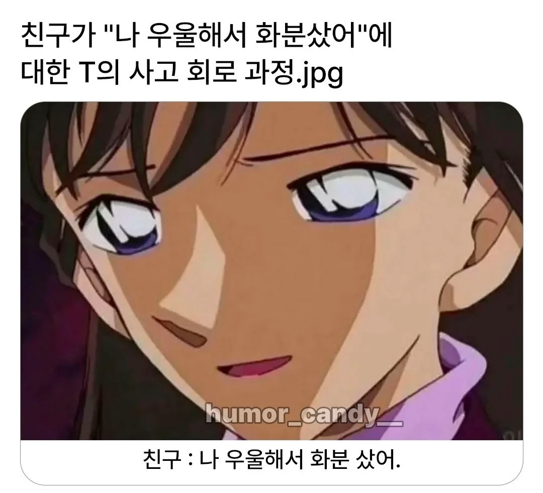 '나 우울해서 화분샀어'에 대한 T의 대답.jpg · 1번째 이미지