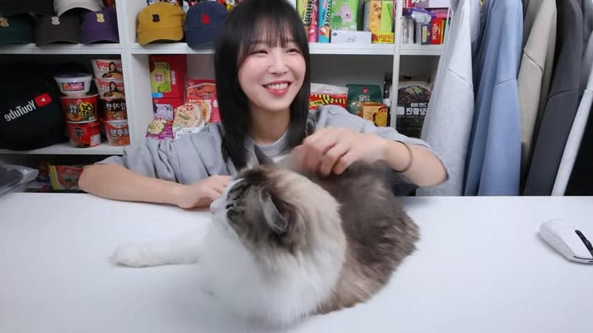 개오랜만에 라이브 방송키고 고양이 자랑하다가 대참사난 쯔양