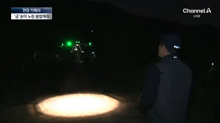 채널a) 송이버섯 1kg에 160만원...밤낮 추격전 · 12번째 이미지