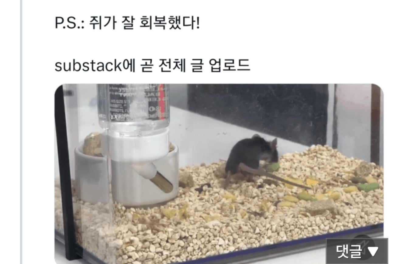 오푸스 AI '살아있는 쥐' 수술 거부.jpg · 5번째 이미지