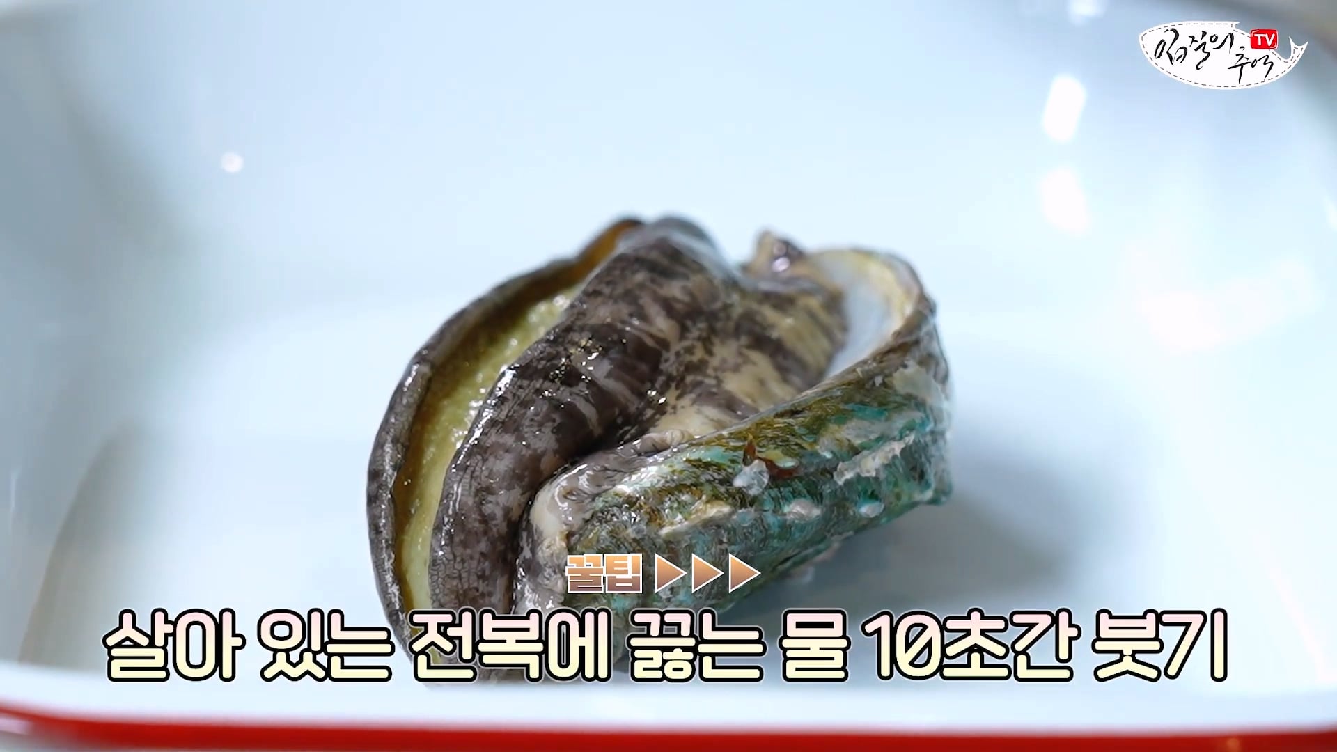 암컷 아저씨가 알려주는 손 쉬운 전복 손질 방법 · 16번째 이미지