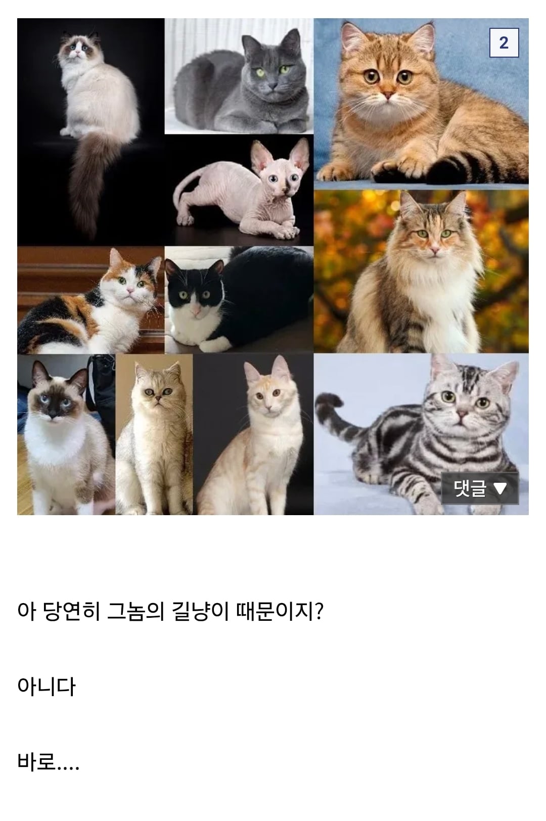 현재 울릉도 생태계가 씹창나는 이유..jpg · 2번째 이미지