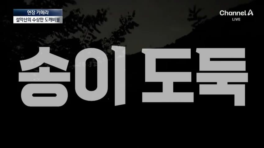 채널a) 송이버섯 1kg에 160만원...밤낮 추격전 · 5번째 이미지