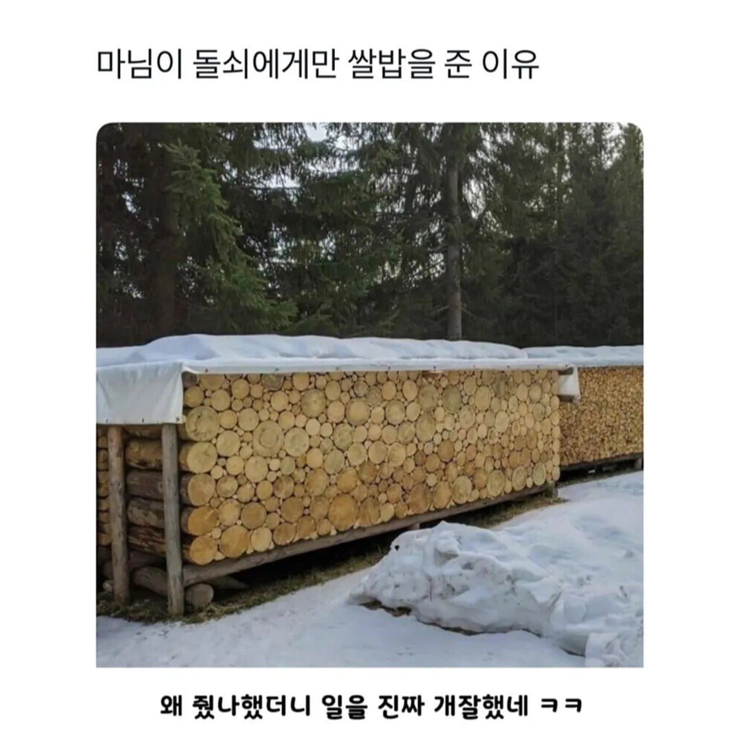 마님이 돌쇠에게만 쌀밥을 준 이유 · 1번째 이미지