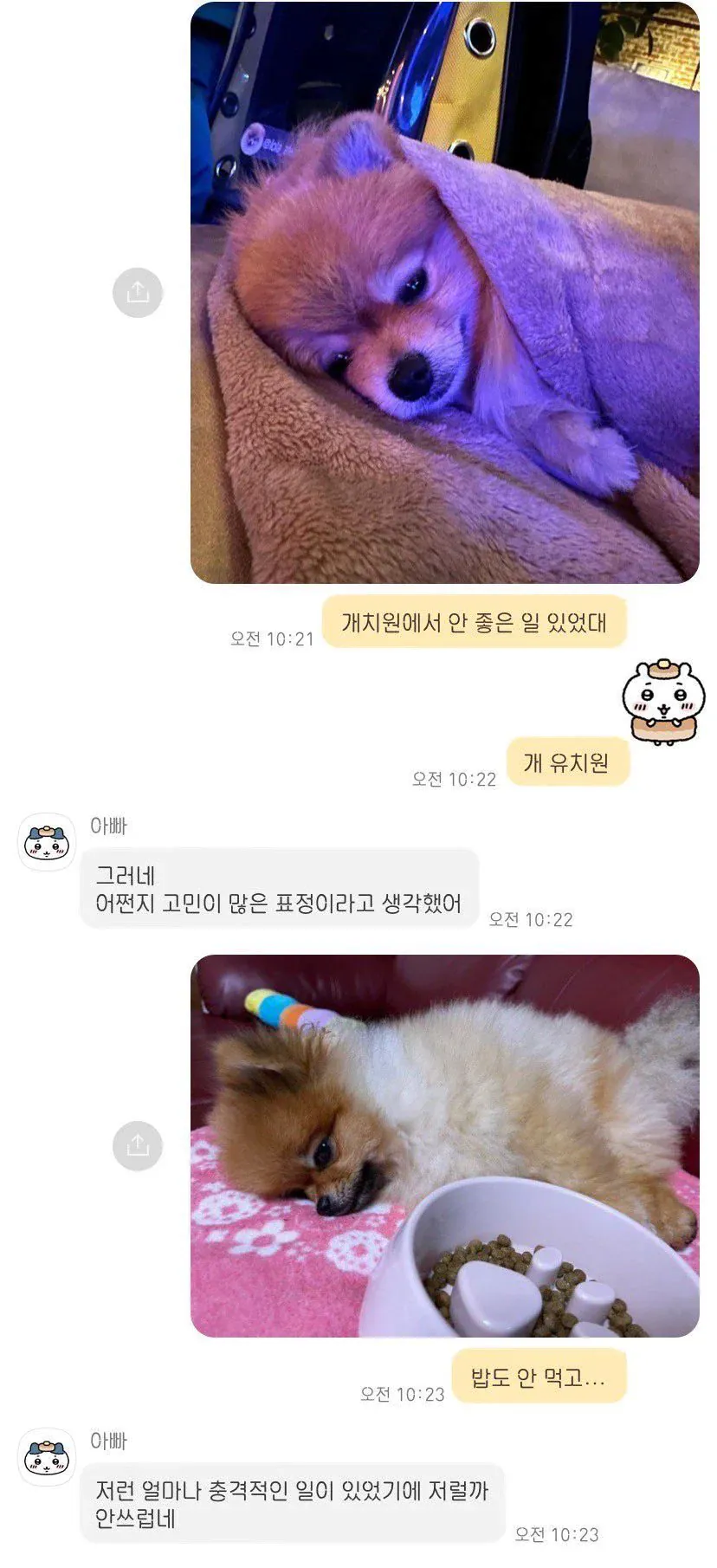 유치원에서 안 좋은 일이 있었던 강아지.jpg