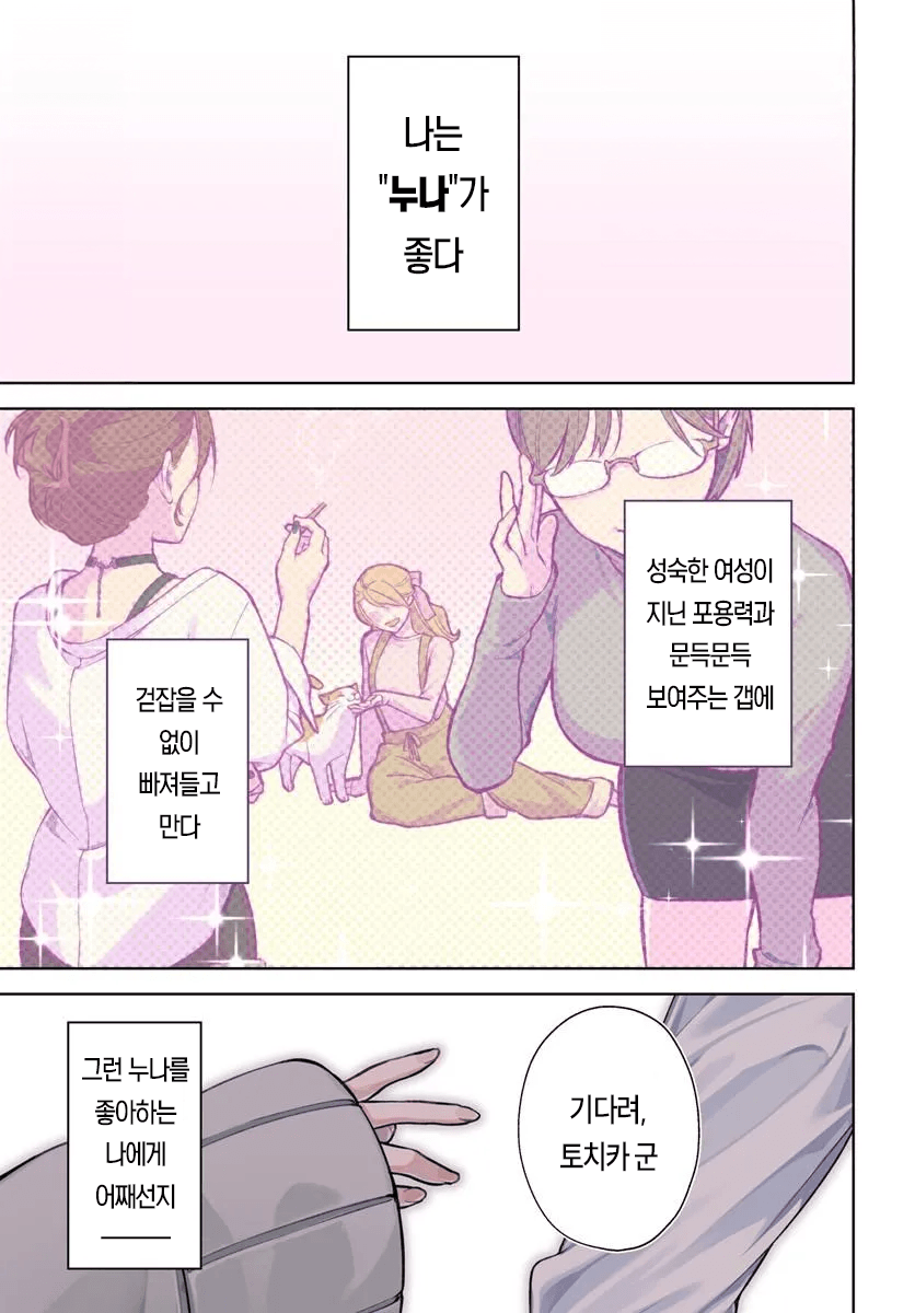 누나사랑꾼 누나성벽 남고딩 만화