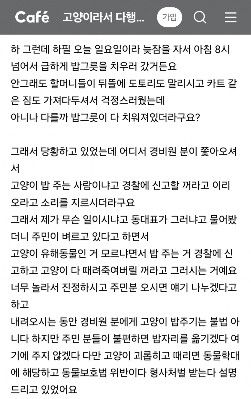 아파트에서 싸운 캣맘 · 2번째 이미지