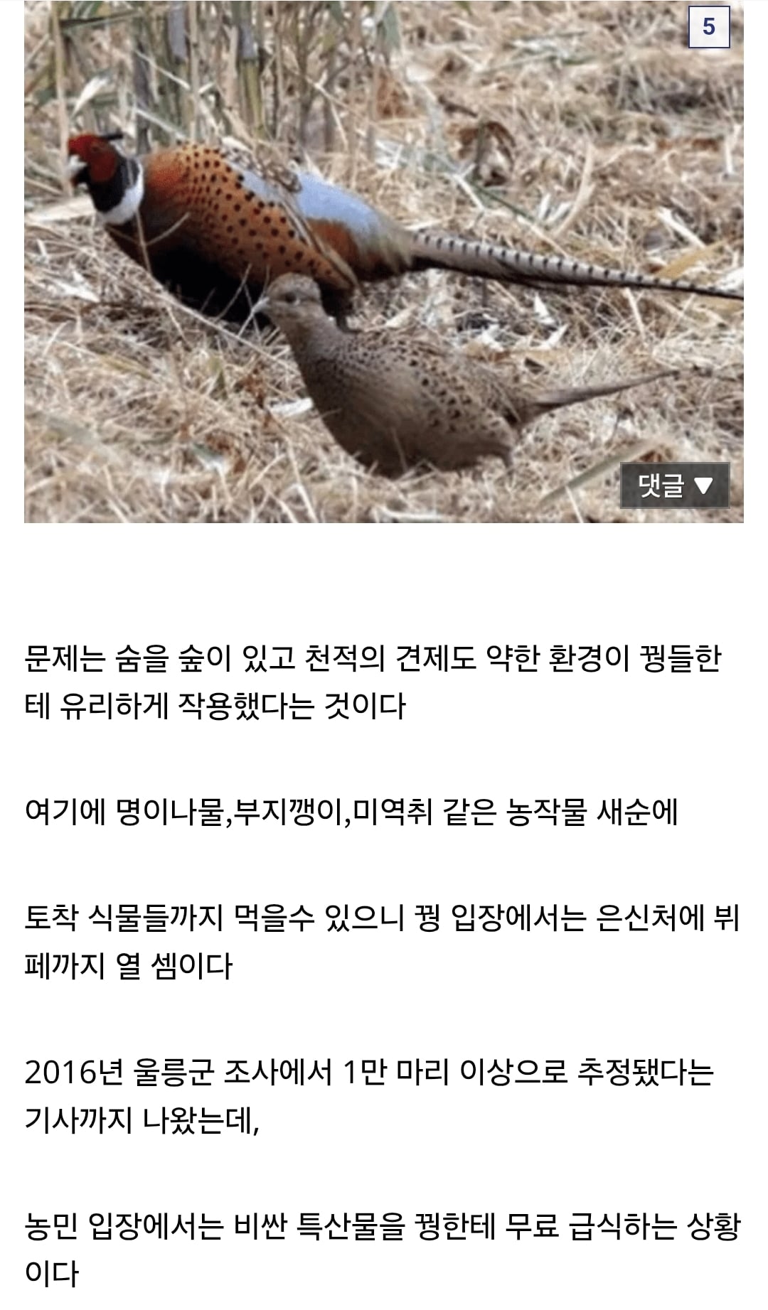 현재 울릉도 생태계가 씹창나는 이유..jpg · 5번째 이미지