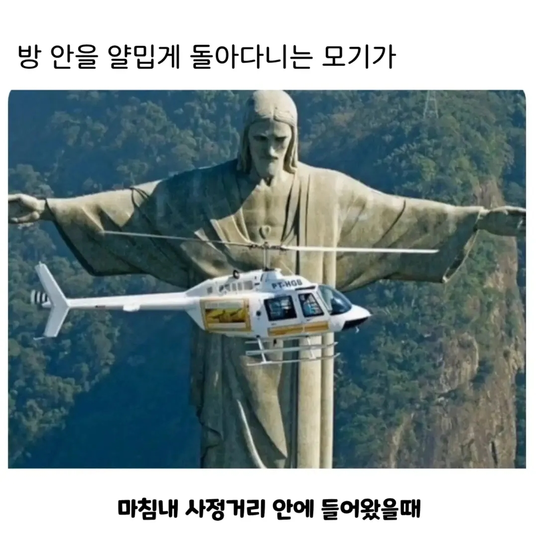 방에서 모기 잡을때.jpg · 1번째 이미지
