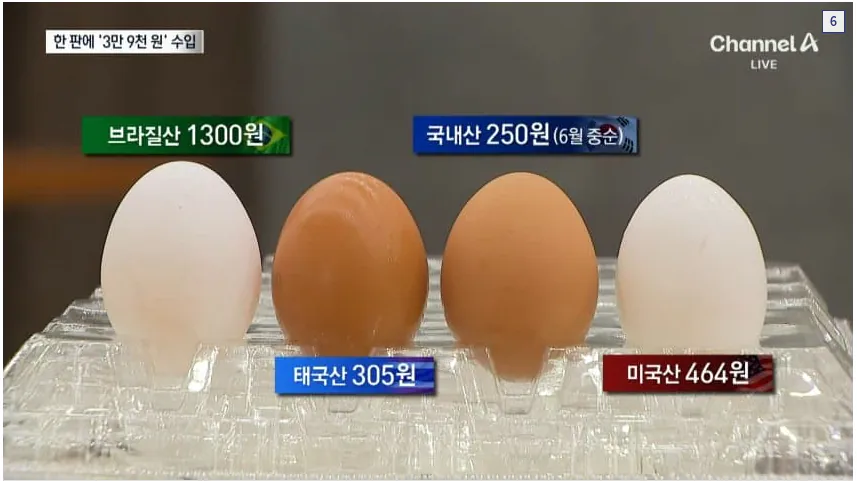 image.png 브라질 계란 수입 사태 근황 . jpg