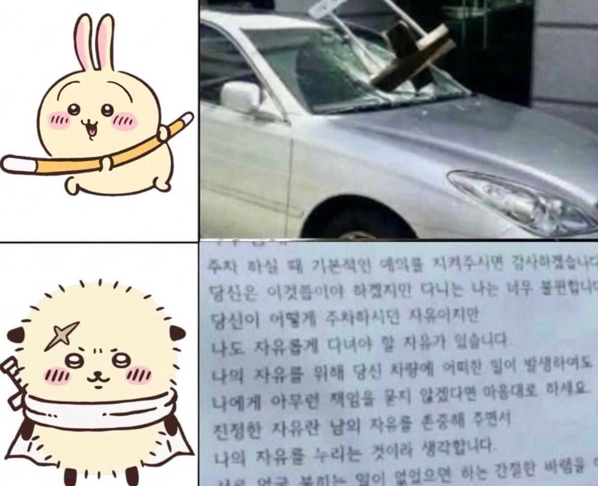 주차를 ㅈ같이 한 차를 본 치이카와들 · 3번째 이미지