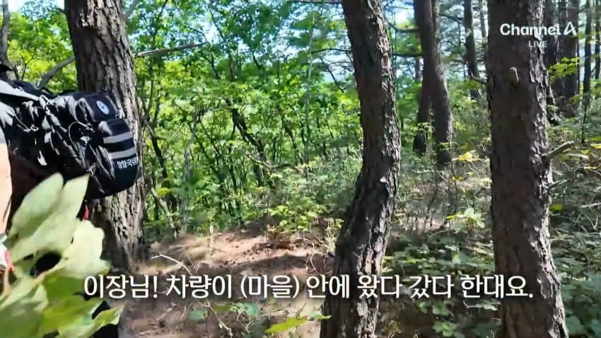 채널a) 송이버섯 1kg에 160만원...밤낮 추격전 · 37번째 이미지