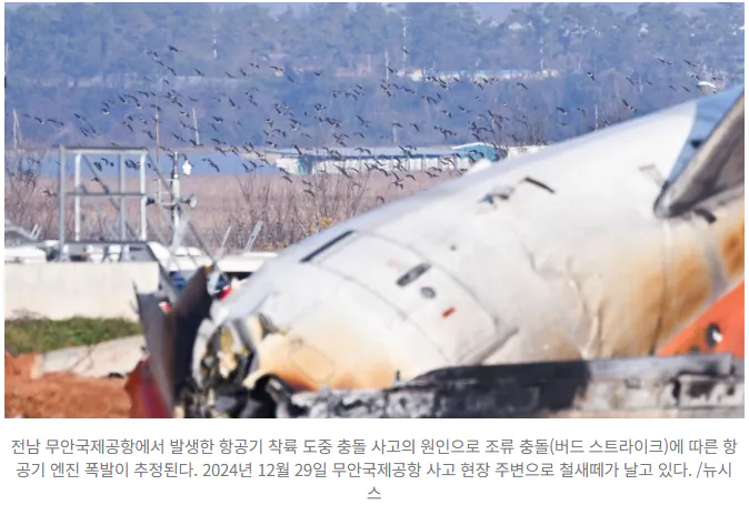 20261021_061906.png [단독] “조종사 탓”이라던 무안 사고조사위, 주장 뒤집어