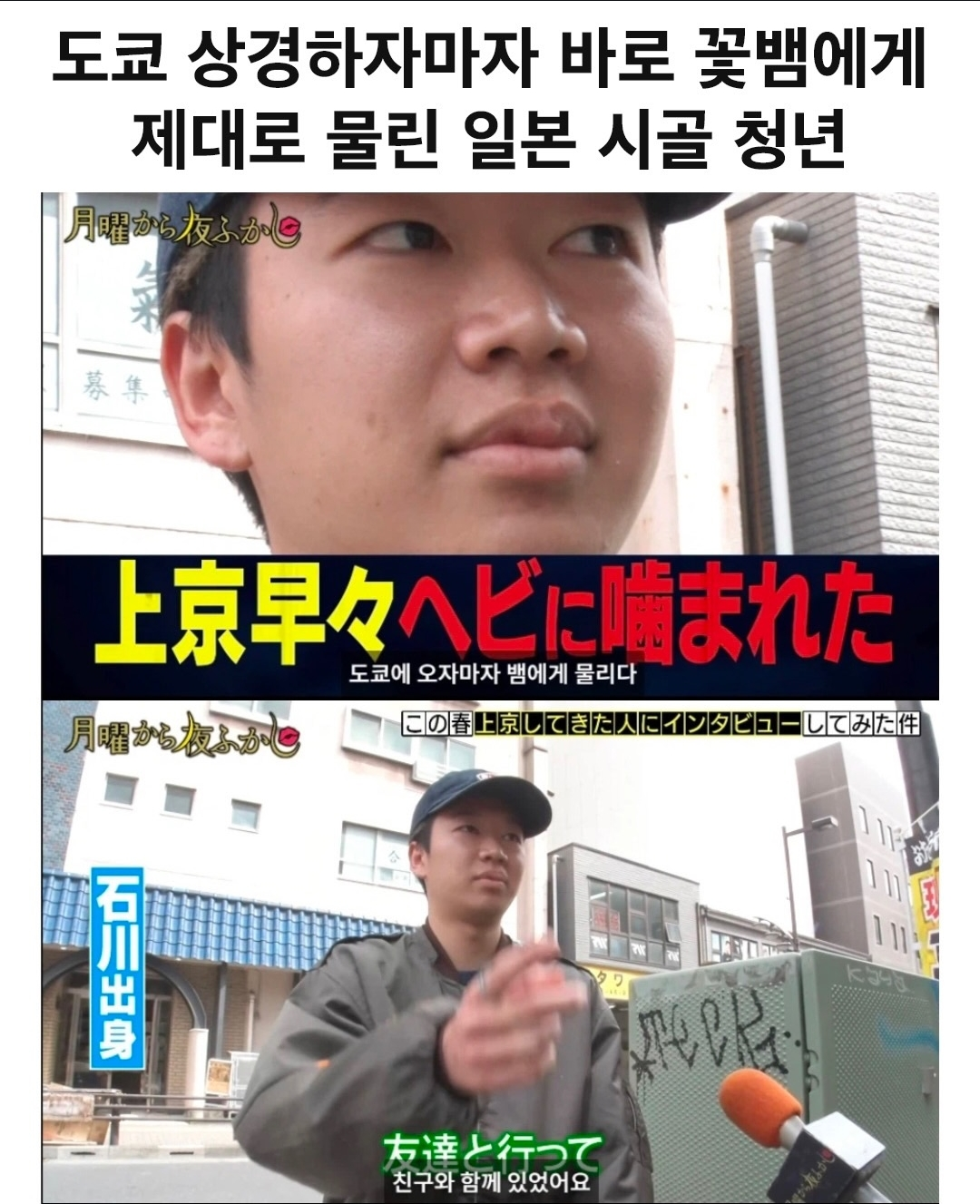 도쿄에 오자마자 꽃뱀에게 물린 시골 청년.jpg · 1번째 이미지