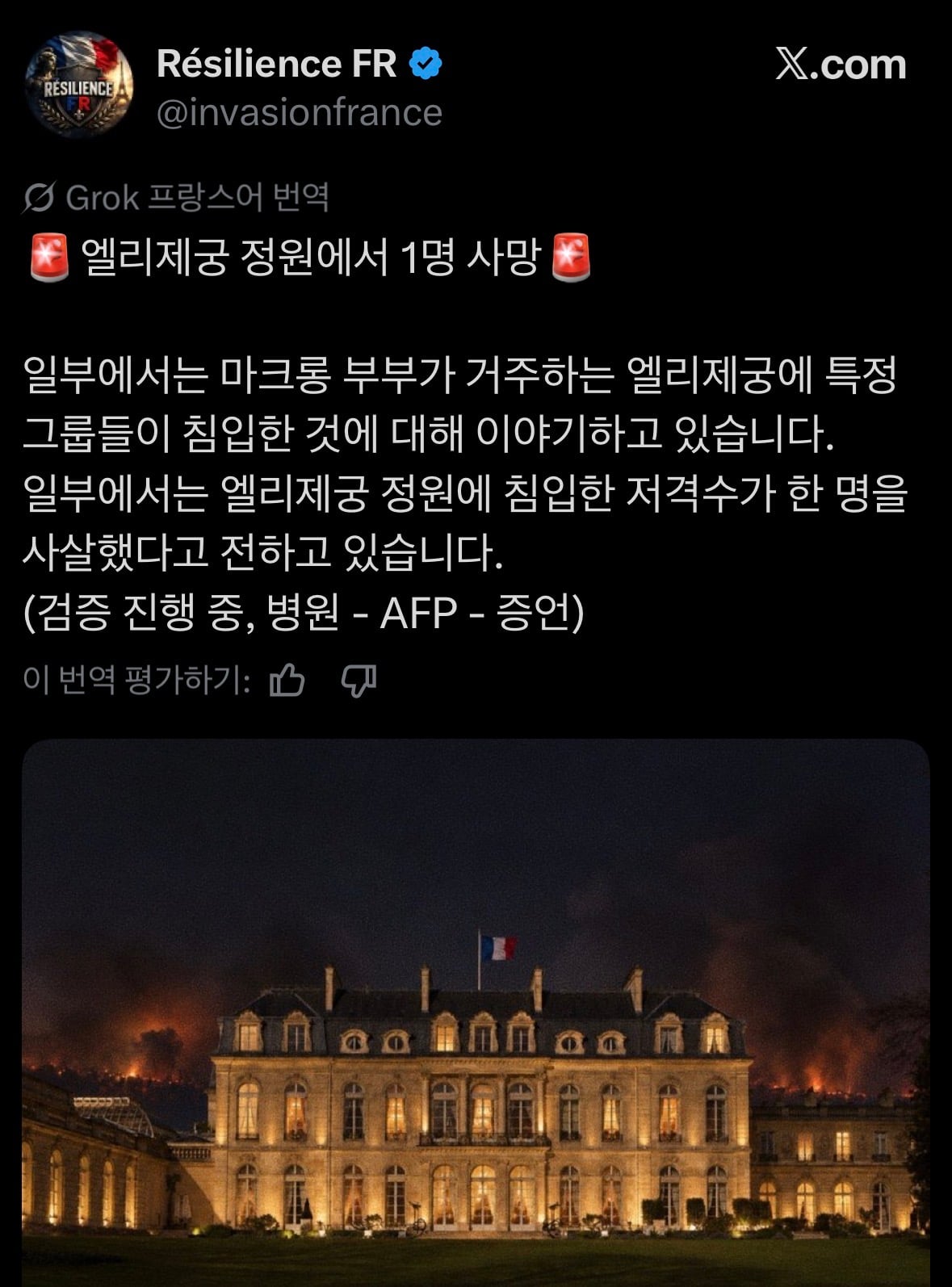 실시간 프랑스 전통놀이 근황