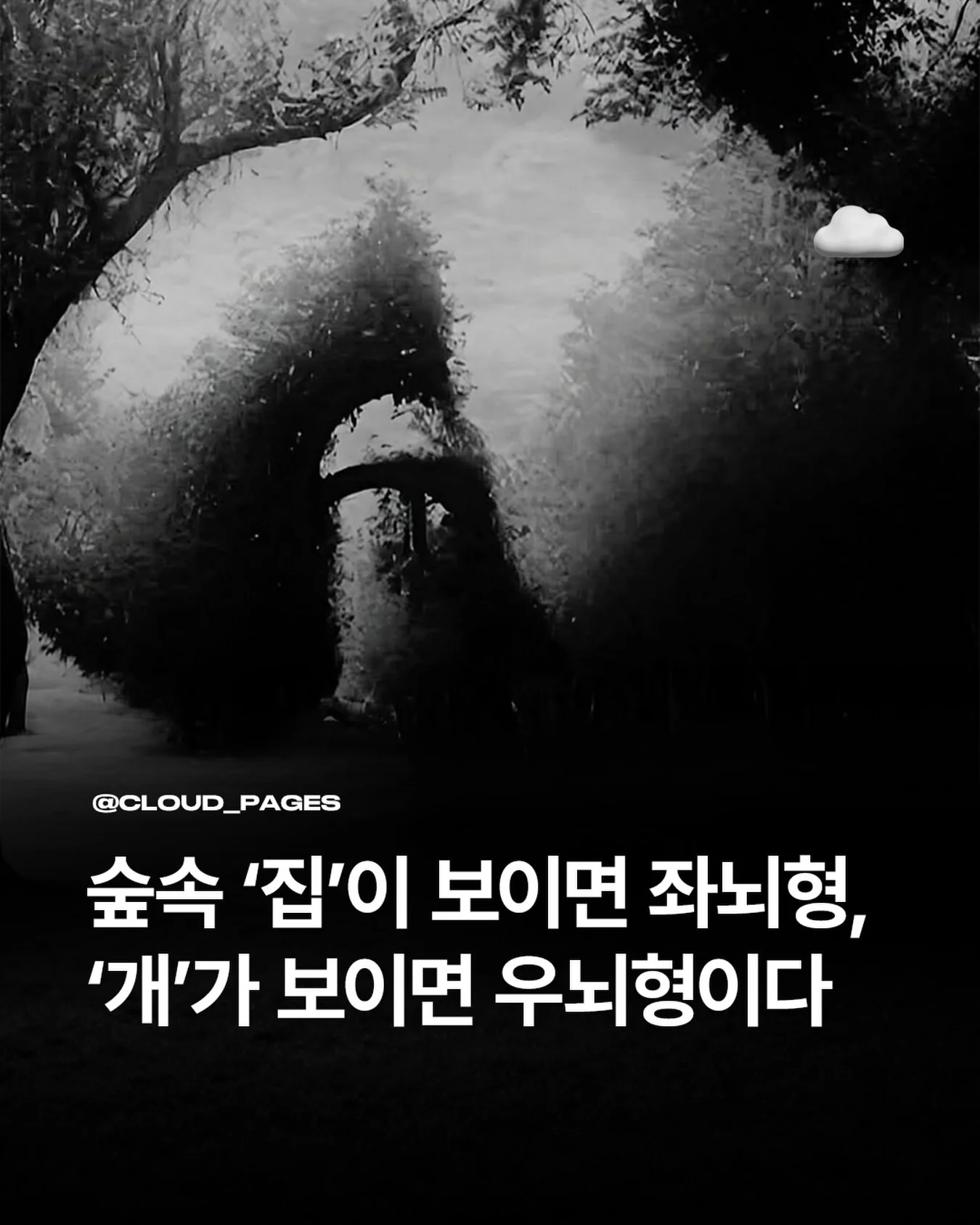 숲 속 집이 보이면 좌뇌형, 개가 보이면 우뇌형