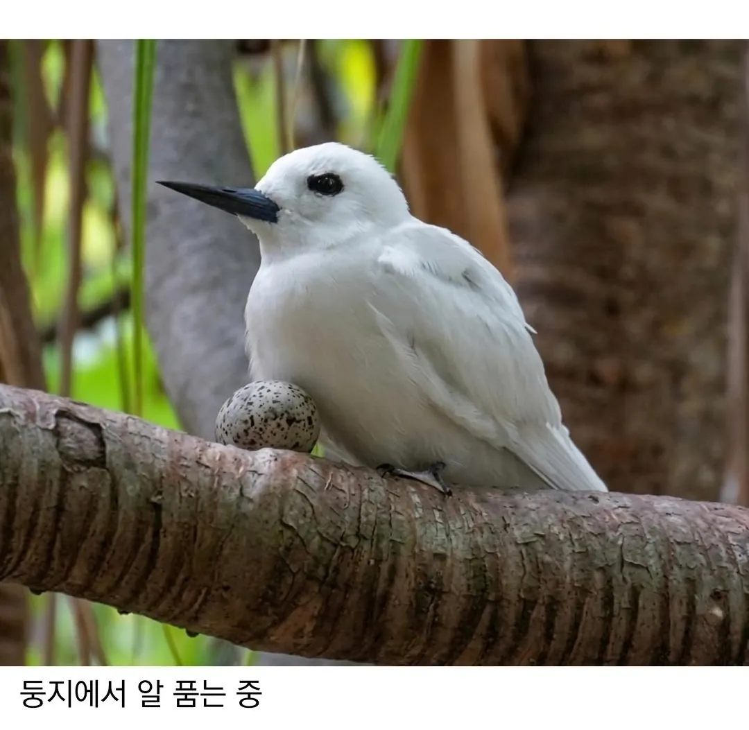 태어난 김에 대충 사는 새.jpg · 3번째 이미지