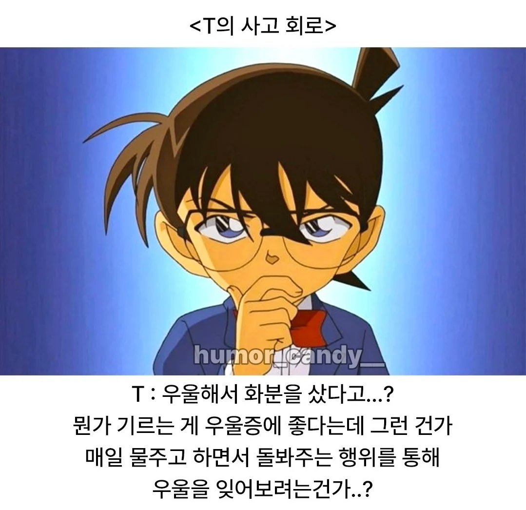 '나 우울해서 화분샀어'에 대한 T의 대답.jpg · 2번째 이미지