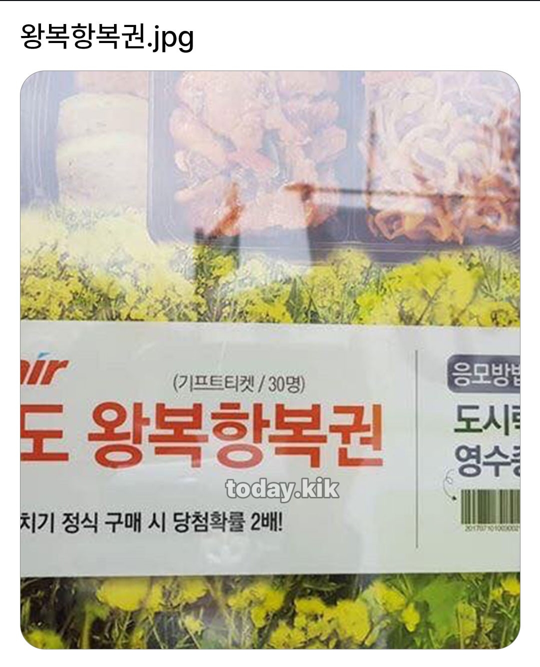 왕복항복권.jpg · 1번째 이미지
