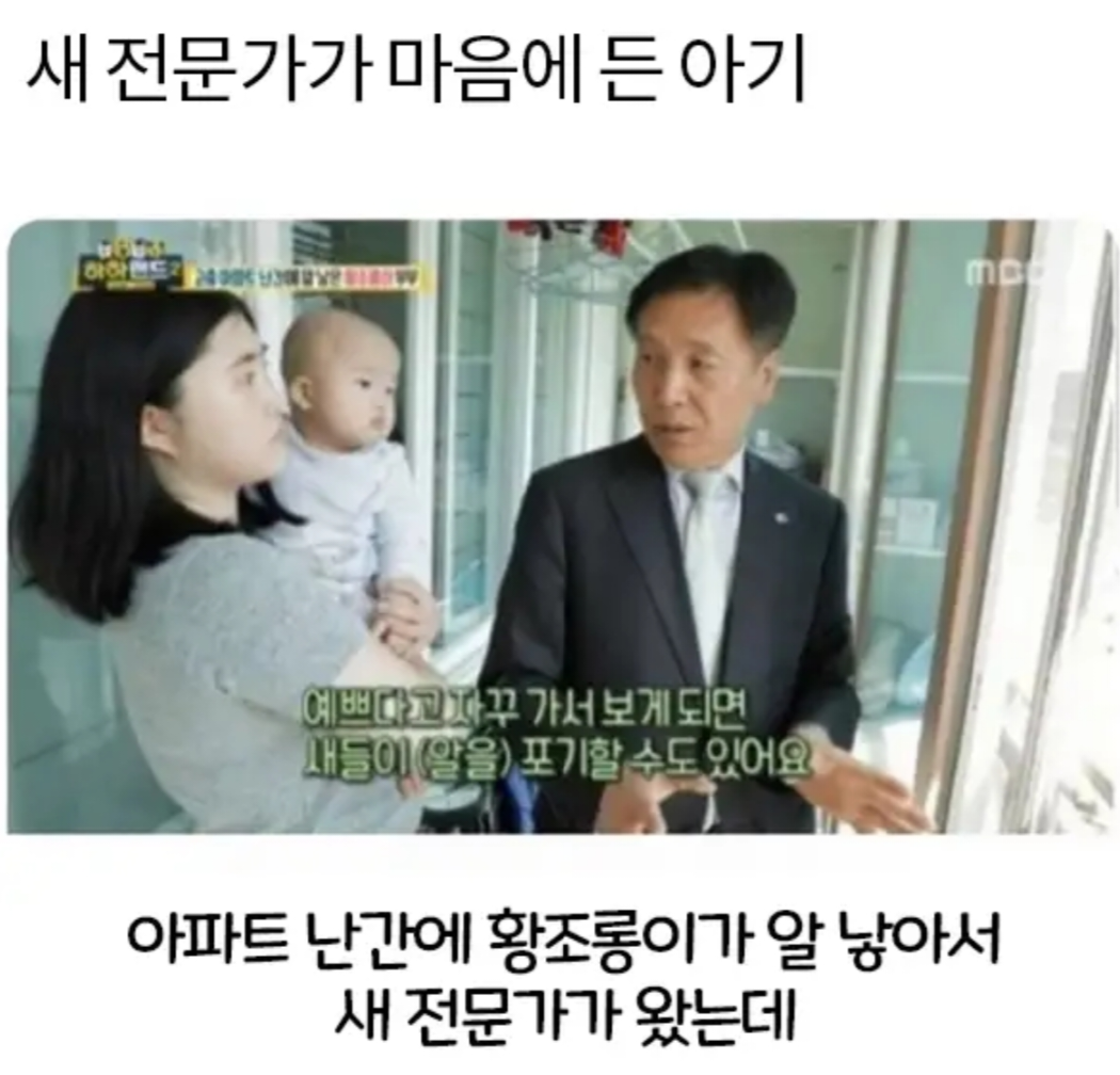 새 전문가가 마음에 든 아기 · 1번째 이미지