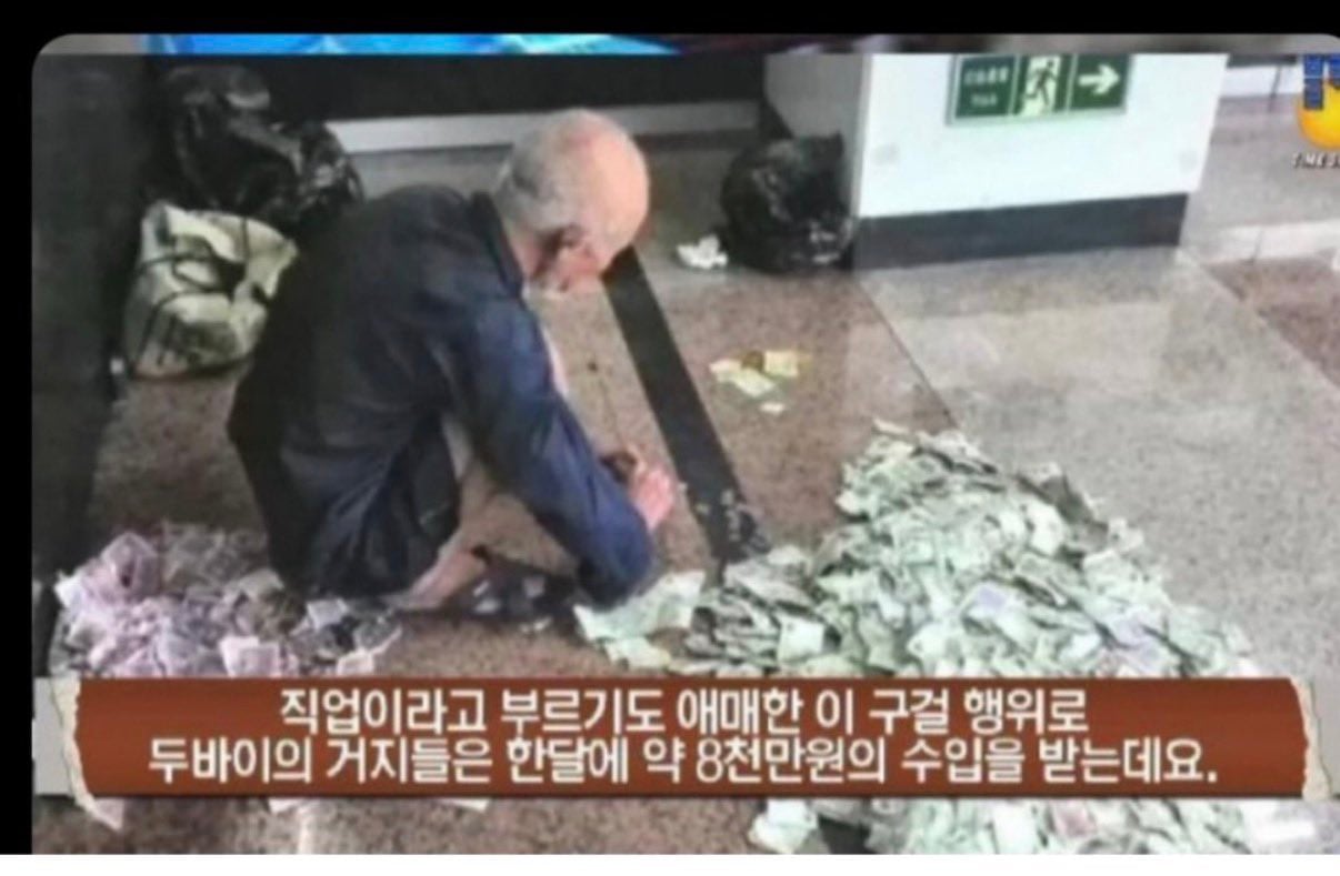 거지들이 구역에 예민한 이유