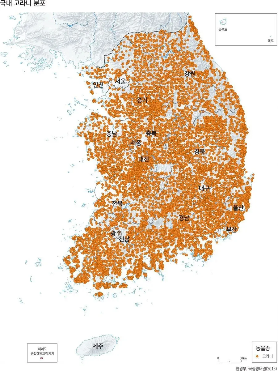 외국인들은 신기해한다는 한국 토종 동물 · 2번째 이미지
