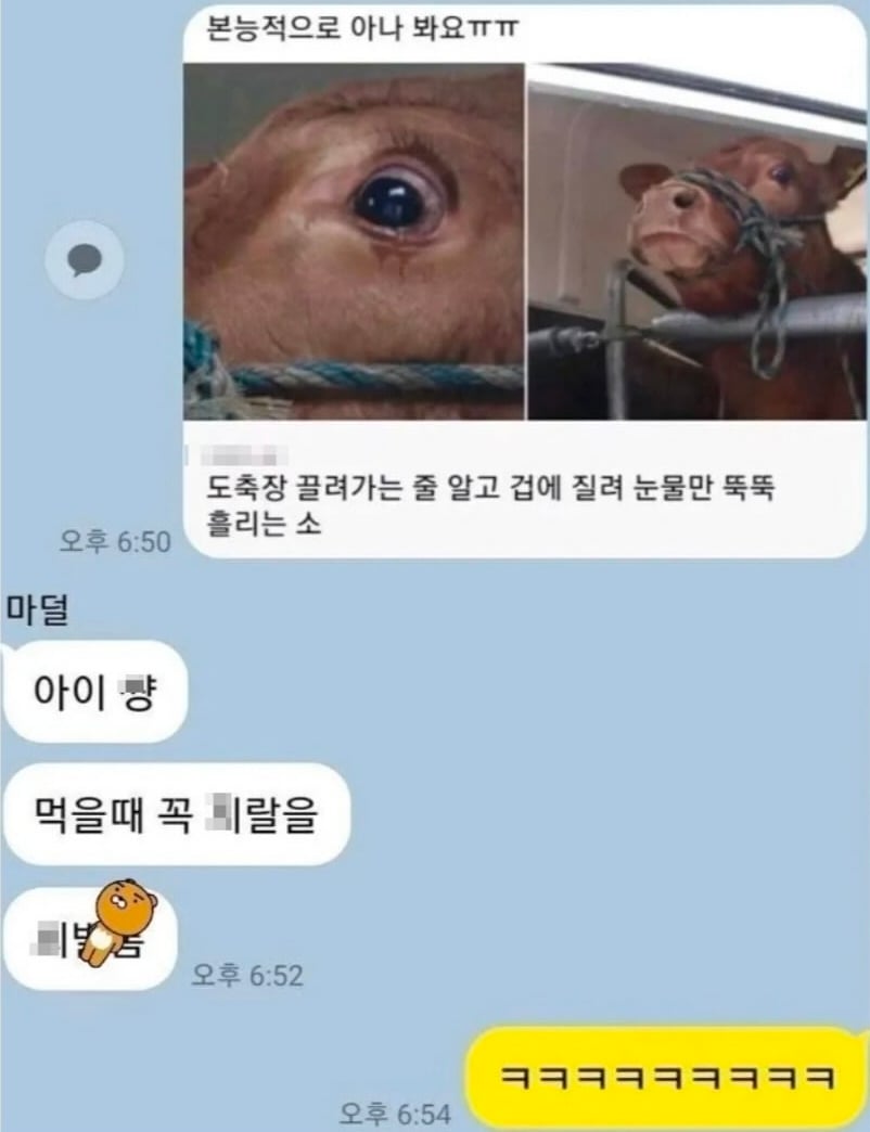 아들과 엄마의 카톡.jpg · 2번째 이미지