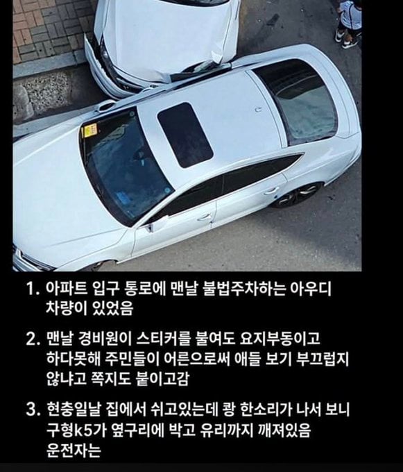 담당일진이 등장한 불법주차 아우디 사건