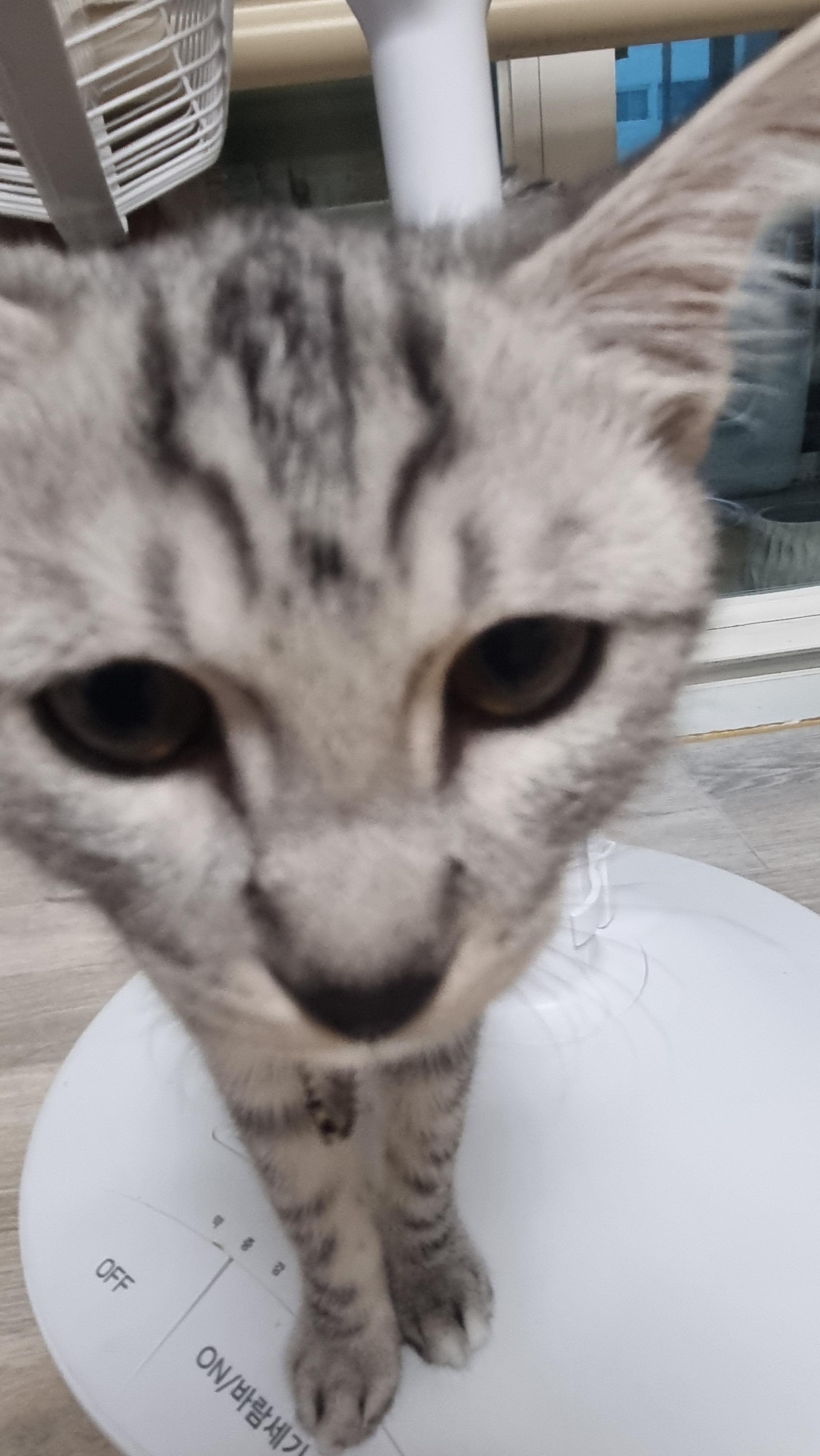 실수로 ㅇㄱㄸ글 써버렸네 미안해 애들아 🥺 · 3번째 이미지