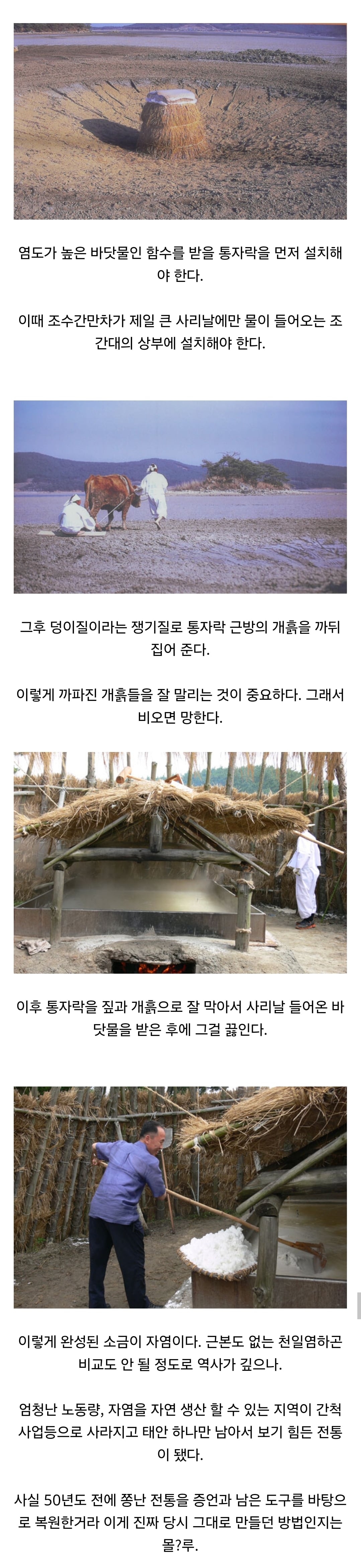 천일염같은 사기가 아닌 진짜 한국 전통 소금 만드는 법 · 1번째 이미지
