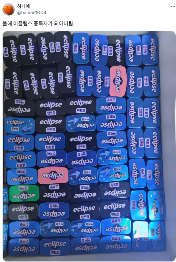 이클립스 빈통을 못버리는 사람들 · 3번째 이미지