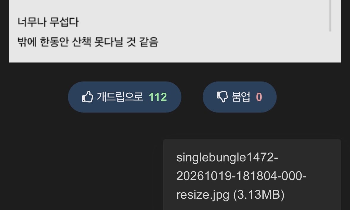 간 프랑스 거주자가 전하는 프랑스 상황의 진실 · 3번째 이미지
